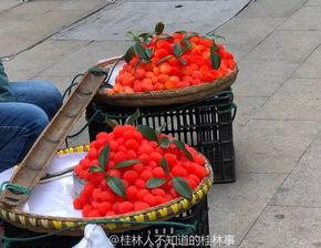 网红水果爆料视频,揭秘热门水果背后的秘密  第3张